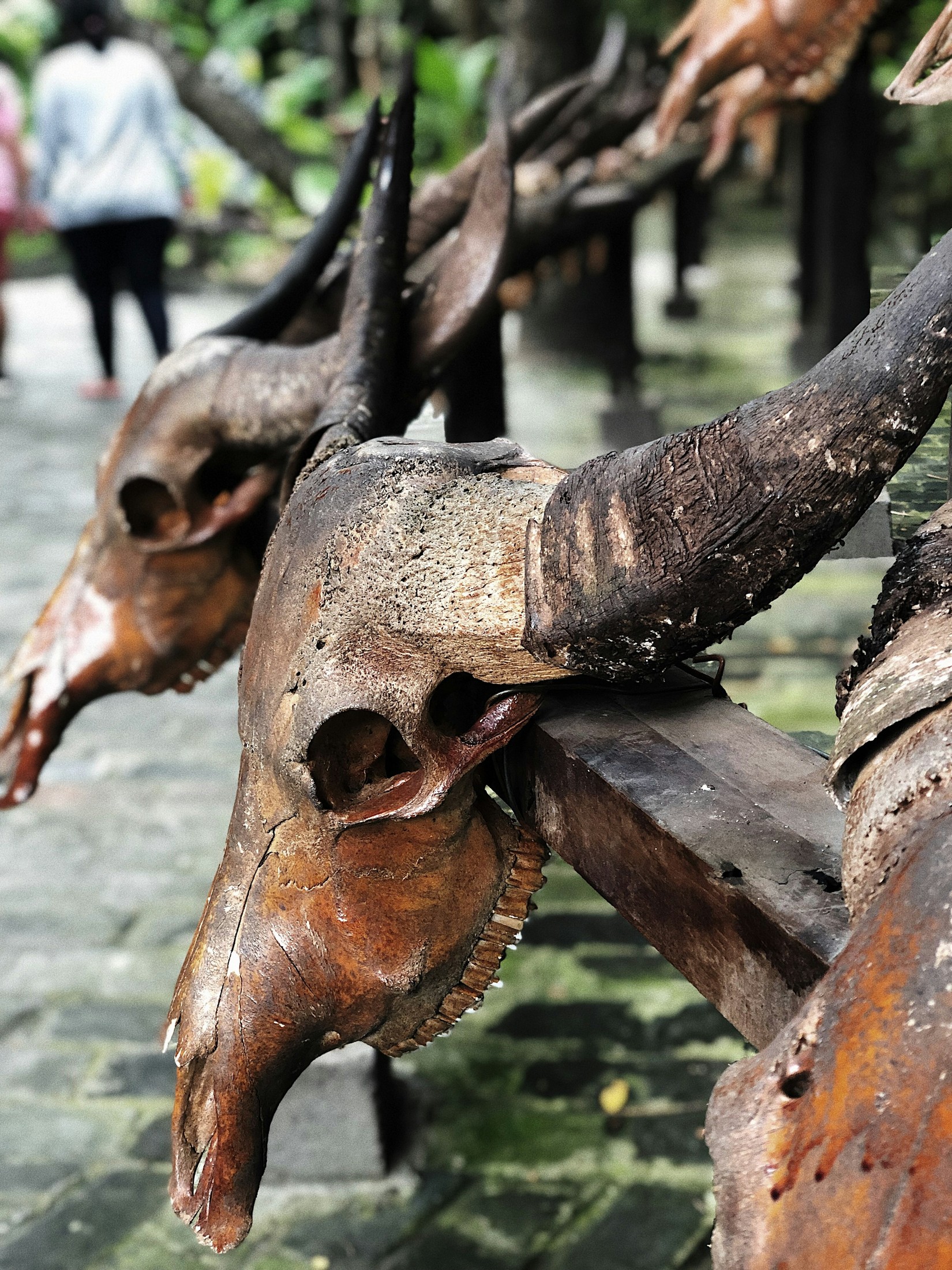 Image of Lingshui in China